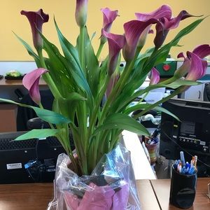 Meet your Posher, Karen